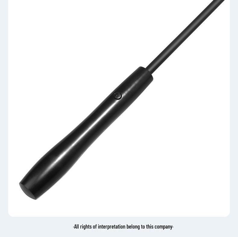 2-Section Telescopic LED Cat Teaser with USB Charging & Long Battery Life