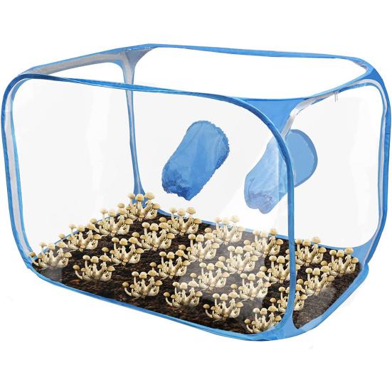 Mushroom Cultivation Tent with Two Gloves Transparent Propagation Stations for Microbiology Enthusiasts