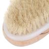 Exfoliating Body Brush Home Travel Dead Skin Dirt Removal Cleaning Shower Bath Brush