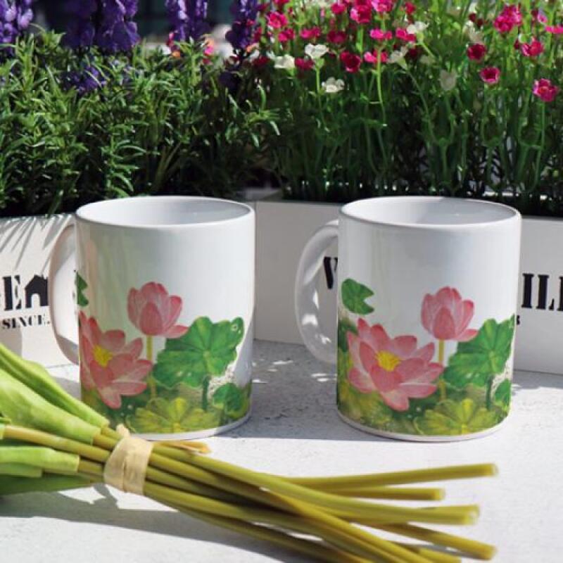 dc349-Design Mug 2p-Fresh Lotus