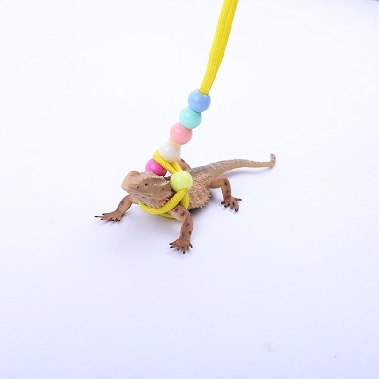 150cm Reptiles Leash with Adjustable Buckle Flexible Reptiles Traction Rope