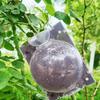 3Pcs Fast Propagation Grafting Rooting Box Safety Locks Plastic Plant Root Growing Box Hydroponics Plant Root Device