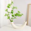 Yousheng Vase Versatile Arc-Shaped Decorative Vase Bedroom Floral Arrangement Vessel Living Room Home Office Decor