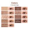 Dasique Shadow Palette Chocolate Fudge #11