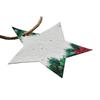 MidOcean Starseed Seed Paper Star Christmas Hanging Ornament