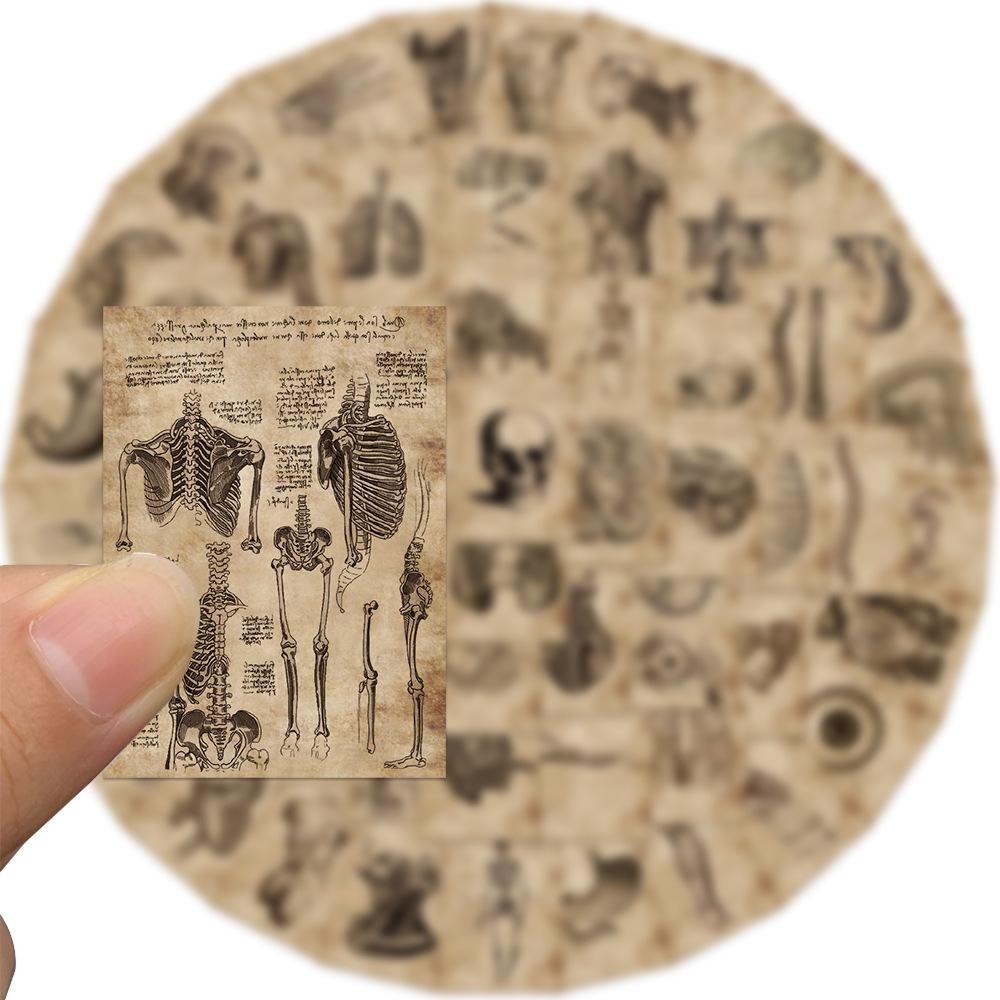 56 Human Bone Diagrams Graffiti Stickers Can Decorate Suitcase Pen Guitar Notebook Waterproof Explosive