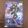 Matching World Order SSS Servant Figure Third Ascension Fate/Grand Lancer/Scáthach