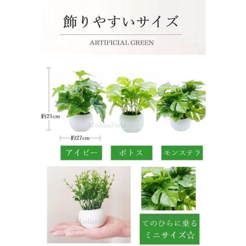 MedianField Photocatalytic Mini Potted Plants, Set of 3. Deodorizing & Antibacterial Faux Greenery, Artificial Flowers in Pots, Artificial Houseplants