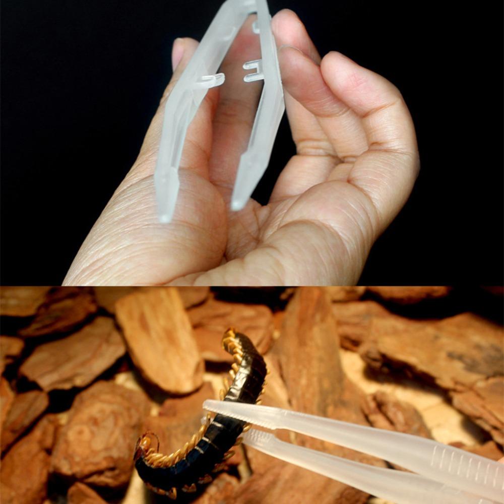 Anti-static Straight Tweezer Animal Feeder Clamp Reptile Feeding Tweezer Tortoise Feeding Tongs