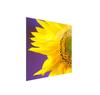 Glass Stovetop Protector 50x52 Flower