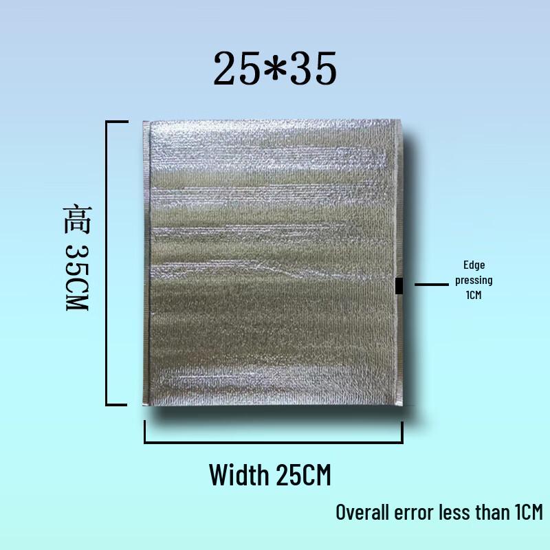 Shixun Insulated Food Delivery Bag