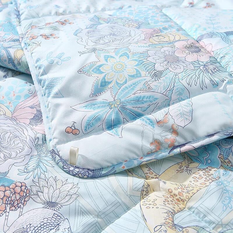 Fuanna Xinrui Antibacterial Four Seasons Quilt
