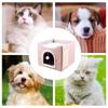 Cat House Bed Cave Foldable Cave Kitten House Cat Bed Sleeping Condo Cute Sleeping Tent Cube House With Plush Ball & Scratch Pad