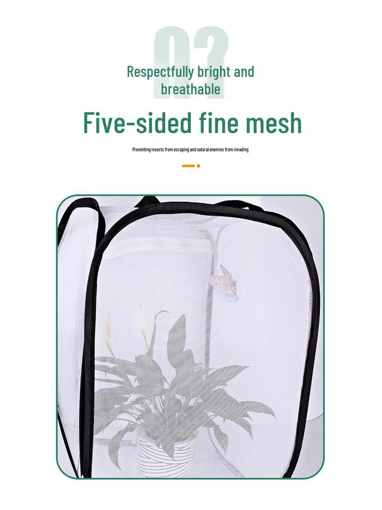 Cușcă de Observare Primăvara Fluturi și Călugăriță - Habitat de Creștere Insecte Pliabil