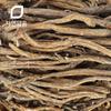 Dandelion Root That Resembles Nature