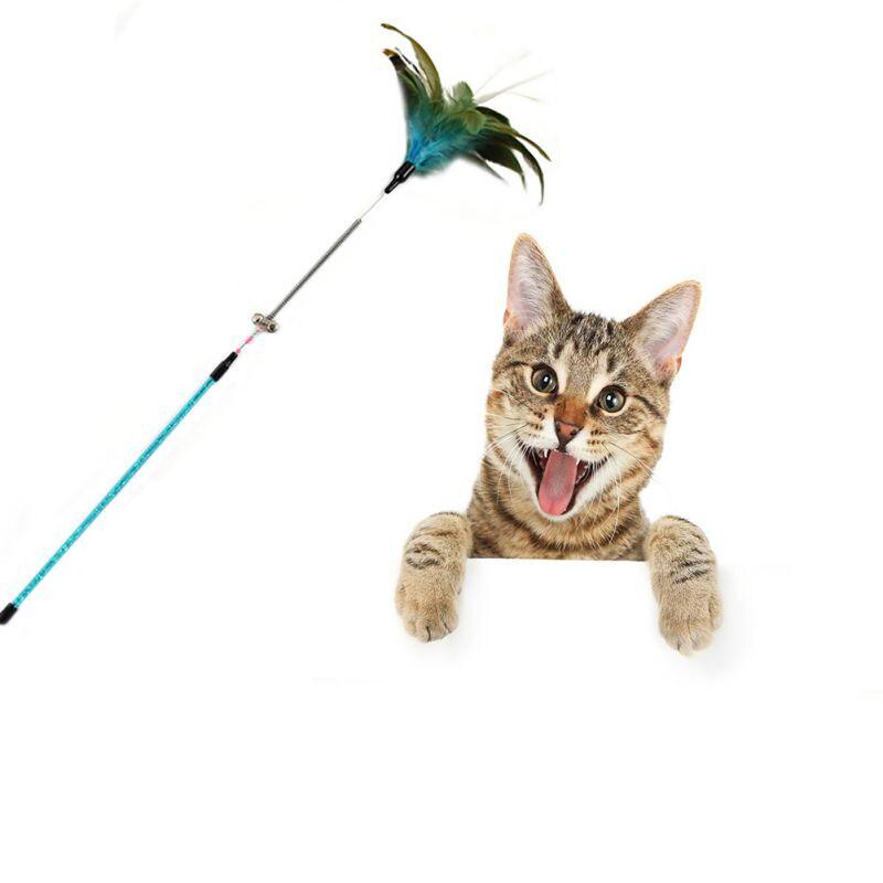 Katzenspielzeug Feder Mit Glocke  Interaktives Katzen Spielzeug Fr Indoor  Spa