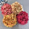 Hydrangea Flower Heads for Hotel Decor, Wedding Floral Art, Flower Wall Arrangements, DIY Accessories, and Home Landscaping.