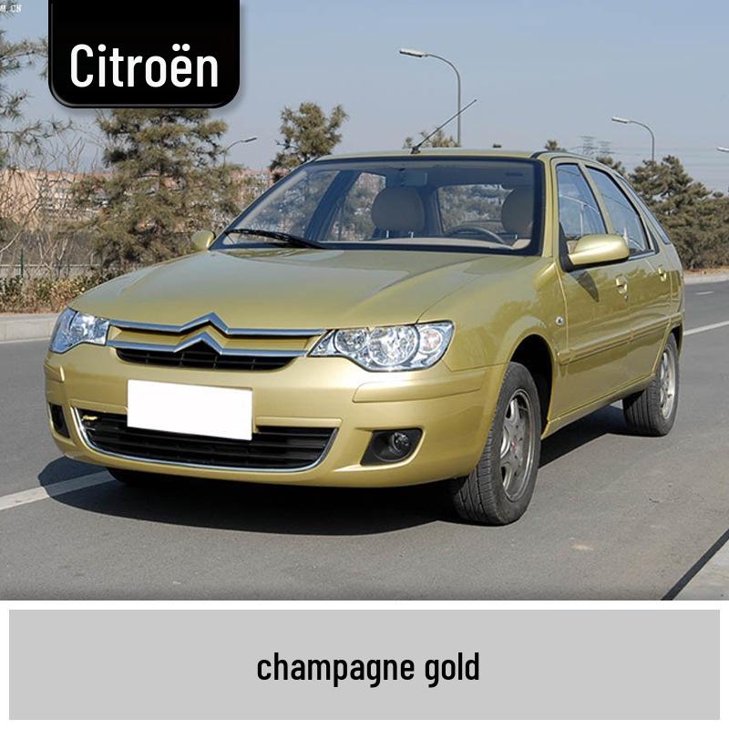 Touch-Up Paint Pen for Dongfeng Citroën: Elysee, C4L, Sega, Versailles, Picasso, Yunyi, Fukang.
