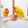 Solid Wood Rotary Tabletop Bird Perch Detachable Birds Grinding Perch Holder  Parakeets