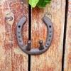 Vintage Horseshoe Wall Hook - European & American Wrought Iron Double Hook for Home Decor