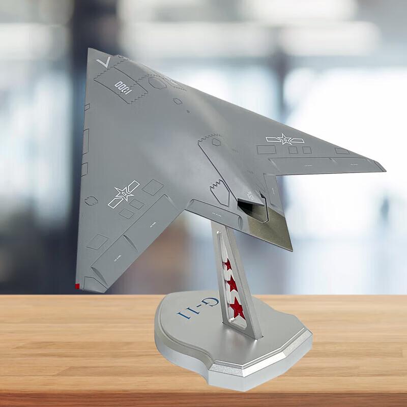 Eagle Shark 1:45 J-11 Stealth Fighter Model