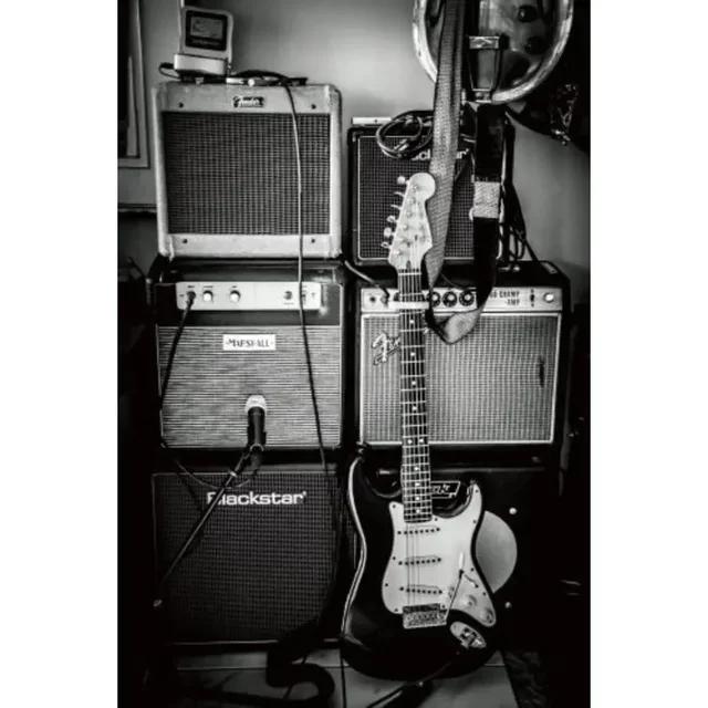 Vintage Rock Music Guitar Metal Wall Sign  Man Cave Gym Pool Bar Bathroom Yard Garage Decor  x in Tin Sign