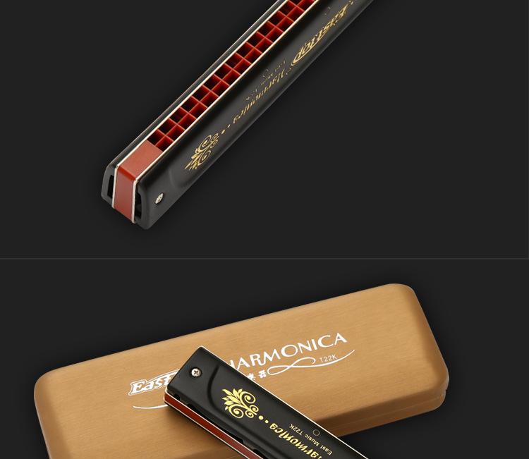 Dongfang's 22-Hole C Key Polyphonic Harmonica for Beginners and Adults