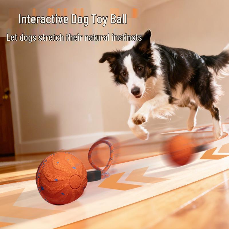 Waterproof Smart Electric Dog Teasing Ball: Bite-Resistant ETPU Interactive Pet Bouncing & Teeth Grinding Toy
