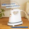 Aviterax Clothes Steamer Domestic Manufacturer Clothes Iron Steam Iron Continuous steam on hanger Starts up in about 25 seconds Lightweight Compact