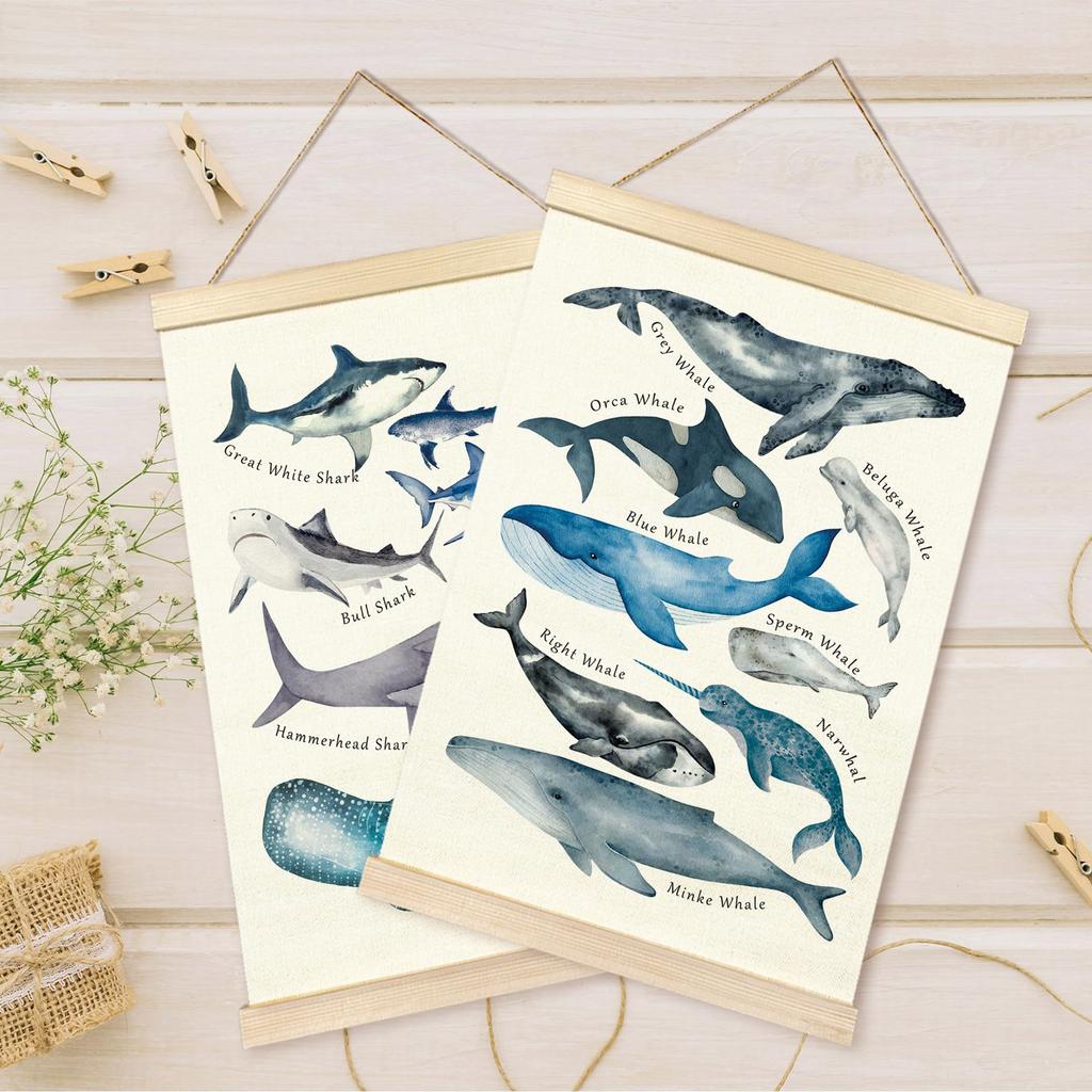 Lehrposter Wale Ozeantierposter für Kinderzimmer Spielzimmer Kinderzimmer Mit niedlichen Tieren Holzaufhängerrahmen