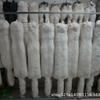 Whole Fox Fur Neck Warmer: Red, White, Blue, Grass Fox with Leather Fur, Winter Scarf.