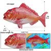 Ocean Crab Simulation Toy Set: Includes Hermit, Swimming, and Three-Spot Plastic Models