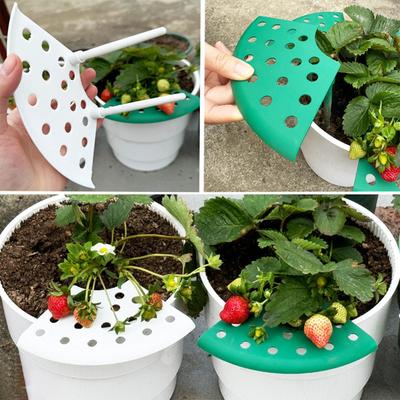 Erdbeerhalter-Körbchen für den Garten 4er-Set Ständer Halter Wuchs-Schutzkorb Ständer für Obstgarten Topfpflanze