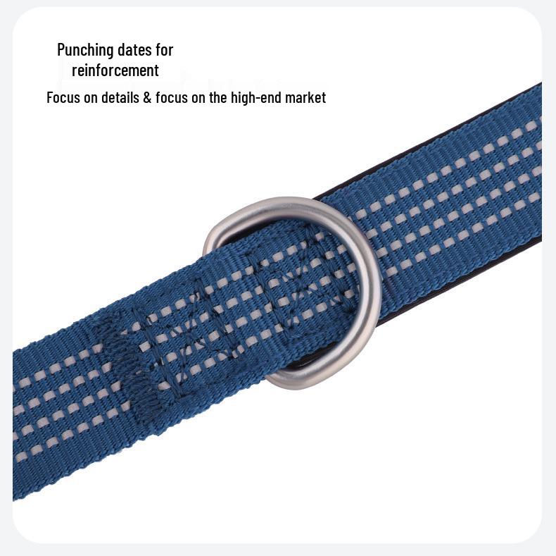 Night Reflective Dog Leash: No-Choke Design for All Sized Dogs