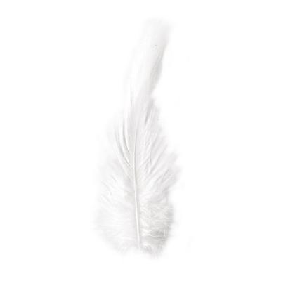 Rooster Feather, 10-15 Cm, 3 G, Cream