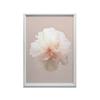 Pastelowy Kwiat W Detalu Pastelowy Kwiat W Detalu, 30X40 Cm, Rama Drewniana Biała, Papier Matowy 230 Gsm