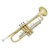 Trumpet Set BiColor with Case Cupronickel Brass Instrument for Students, Beginners, Lessons,