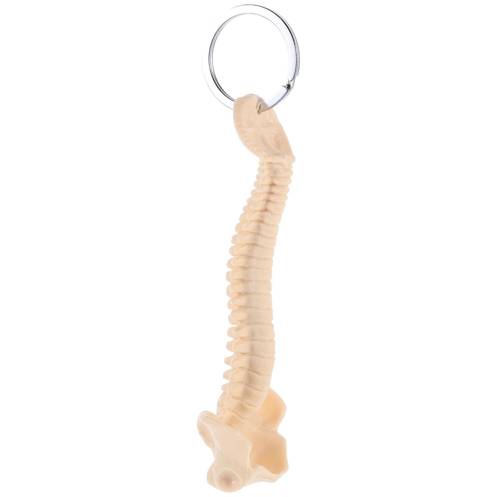 Bone Spine Keychain Mannequin Plastic Cartoon Pvc Chiropractor Nurse Rings 9.5x3cm бежевый