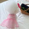 Puppy Summer Clothes Thin Dog Dress for Small Dog Clothes for Pets Clothing Summer Cooling Cat Clothes Cute Girl Mesh Dress Dogs