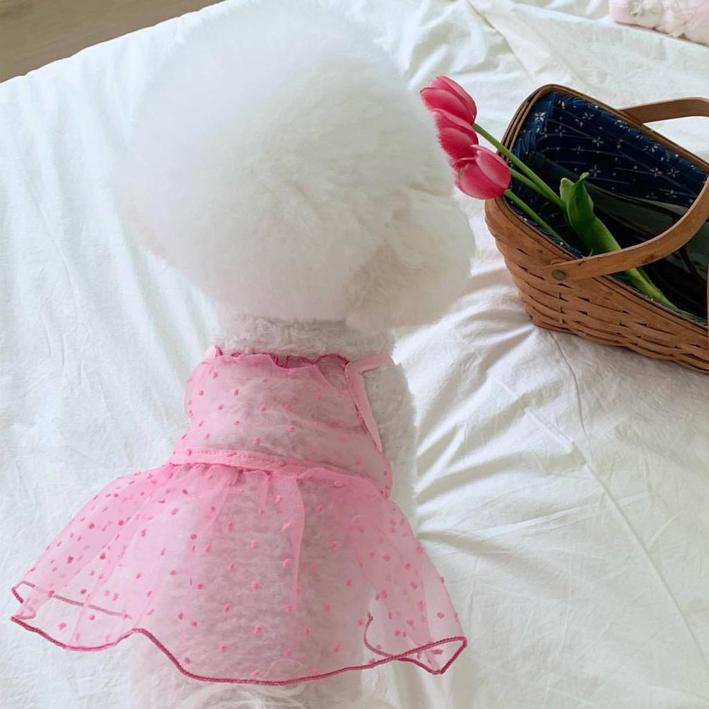 Puppy Summer Clothes Thin Dog Dress for Small Dog Clothes for Pets Clothing Summer Cooling Cat Clothes Cute Girl Mesh Dress Dogs
