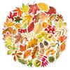 55 PCS Fall Maple Leaves Stickers Leaves Self Adhesive Autumn Stickers Plant Leaf Stickers for Water Bottles, Laptop, Phone