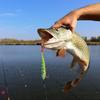 8Pcs Fishing Lures for Saltwater Paddle Tail Swimbaits T Tail Baits Artificial Baits Fishing Lures for Trout Swim Baits