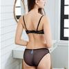 European and American Sexy Lingerie Transparent Mesh Embroidered Bra Set