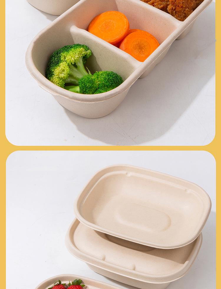 Eco-friendly Three-Compartment Disposable Bento Box – Microwaveable Paper Lunch Container for Salads and Light Meals