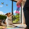 Köpek – Köpek oyuncakları