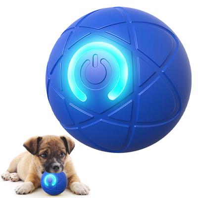 Chiens – Jouets pour chiens