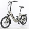 Spatial SPA2001 Adult Outdoor Folding E-Bike 42V10.4AH Battery 250W Motor Electric Mountain Bike 20 Inch Off-Road Tires All Terrain Electric Bicycle