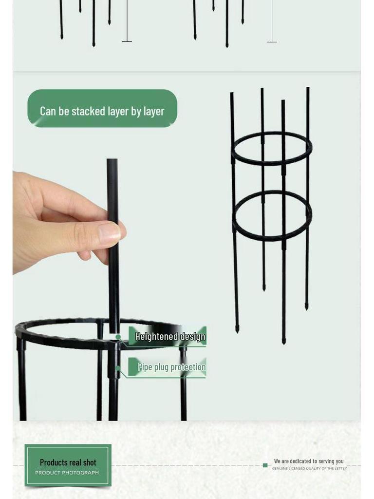 Clematis Rose Support Flower Stand with Climbing Frame for Indoor Plants