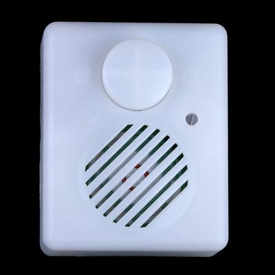 Small Squeezed Music Box Button Play Recordable Voice Module Sound Box
