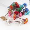 20 pcs/bag Creative Simulation Foam Frost-Fall Christmas Small Berries DIY Handmade Hair Decoration Accessories Floral Canes Wreath Material
